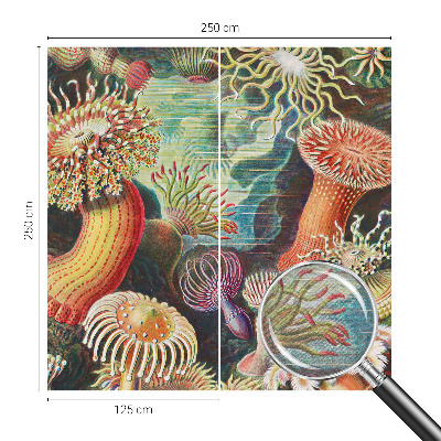 Fototapeta na ścianę z motywem fantazyjnych anemonów