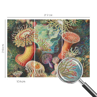 Fototapeta na ścianę z motywem fantazyjnych anemonów