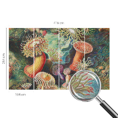 Fototapeta na ścianę z motywem fantazyjnych anemonów