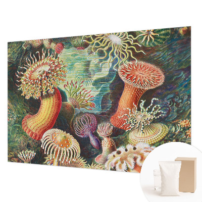 Fototapeta na ścianę z motywem fantazyjnych anemonów