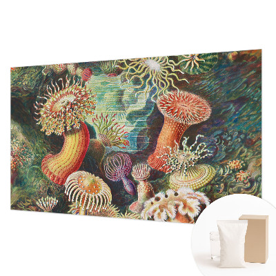 Fototapeta na ścianę z motywem fantazyjnych anemonów
