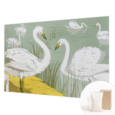 Tapeta fotograficzna Tapeta fotograficzna Łabędzie jezioro