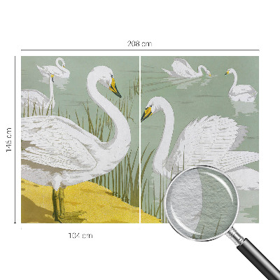 Tapeta fotograficzna Łabędzie jezioro