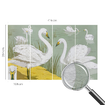 Tapeta fotograficzna Łabędzie jezioro