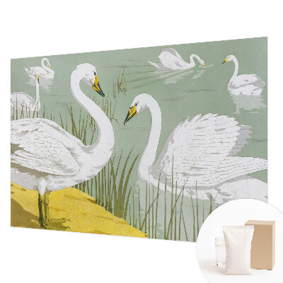 Tapeta fotograficzna Łabędzie jezioro