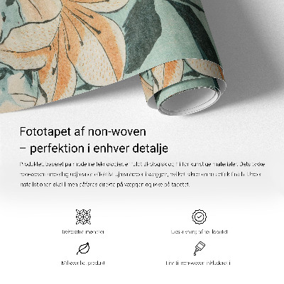 Fototapeta fizelinowa do sypialni z motywem historycznej mapy