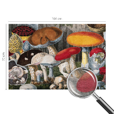 Tapeta fotograficzna fizelinowa z motywem botanicznych grzybów