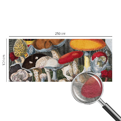 Tapeta fotograficzna fizelinowa Botaniczne grzyby