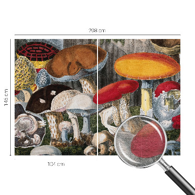 Tapeta fotograficzna fizelinowa Botaniczne grzyby