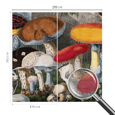 Tapeta fotograficzna fizelinowa z motywem botanicznych grzybów