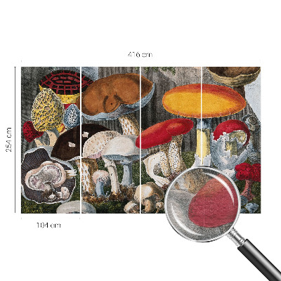 Tapeta fotograficzna fizelinowa Botaniczne grzyby