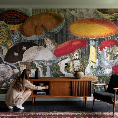 Tapeta fotograficzna fizelinowa Botaniczne grzyby