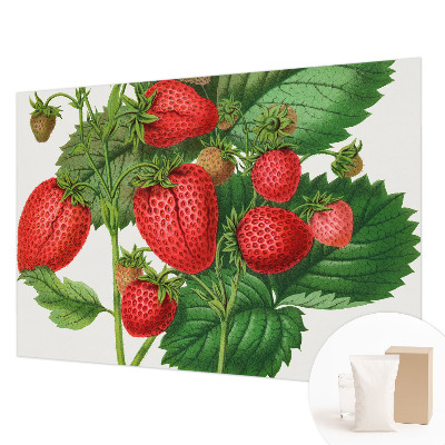 Fototapeta fizelinowa do sypialni z motywem letnich owoców