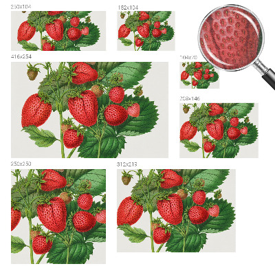 Fototapeta fizelinowa do sypialni Fototapeta fizelinowa do sypialni Letnie owoce