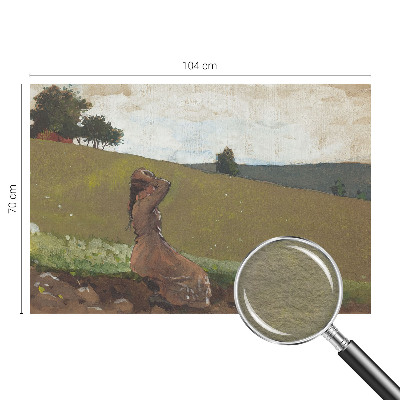 Tapeta fotograficzna fizelinowa z motywem spokojnej sceny