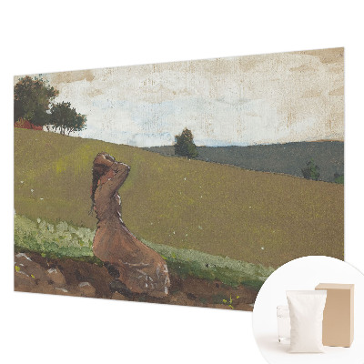 Tapeta fotograficzna fizelinowa Spokojna scena