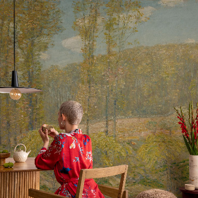 Dekoracyjna fototapeta na ścianę Dekoracyjna fototapeta na ścianę Leśny pejzaż