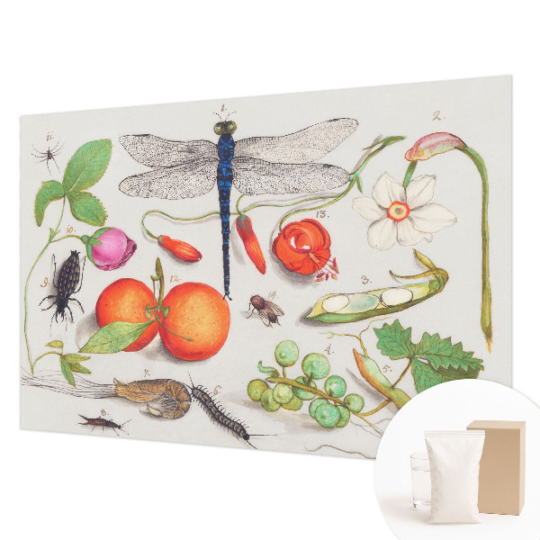 Tapeta fotograficzna fizelinowa Przyrodnicza ilustracja