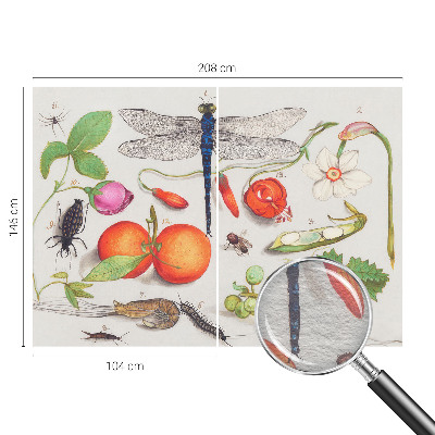 Tapeta fotograficzna fizelinowa Przyrodnicza ilustracja