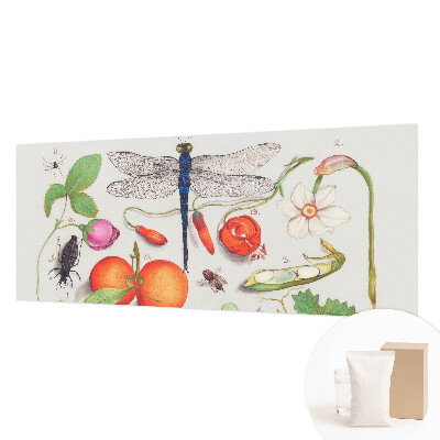 Tapeta fotograficzna fizelinowa Przyrodnicza ilustracja