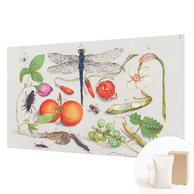 Tapeta fotograficzna fizelinowa Przyrodnicza ilustracja