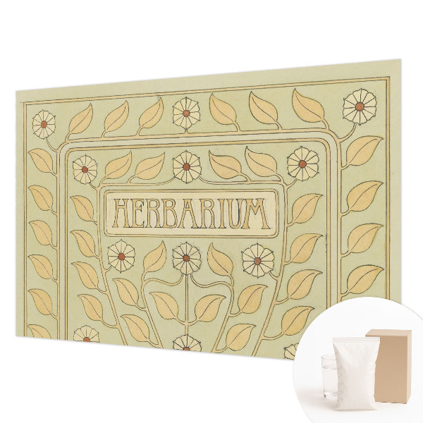 Dekoracyjna fototapeta na ścianę Roślinny ornament