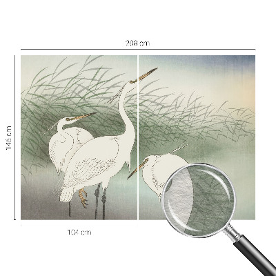 Fototapeta fizelinowa z nadrukiem Fototapeta fizelinowa z nadrukiem Czaple w trawie