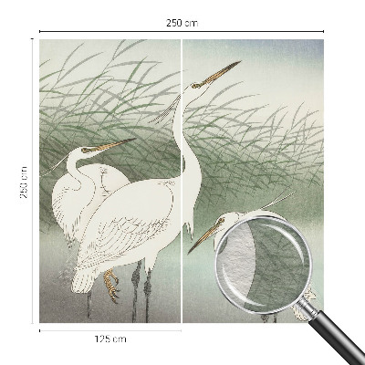 Fototapeta fizelinowa z nadrukiem Fototapeta fizelinowa z nadrukiem Czaple w trawie