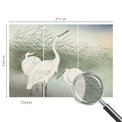 Fototapeta fizelinowa z nadrukiem Fototapeta fizelinowa z nadrukiem Czaple w trawie