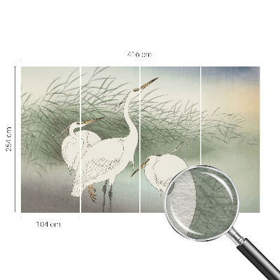 Fototapeta fizelinowa z nadrukiem Fototapeta fizelinowa z nadrukiem Czaple w trawie