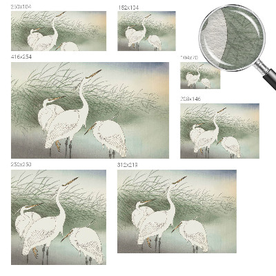 Fototapeta fizelinowa z nadrukiem Fototapeta fizelinowa z nadrukiem Czaple w trawie