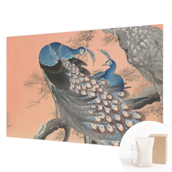 Tapeta fotograficzna Pawie elegancja