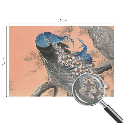 Tapeta fotograficzna Pawie elegancja