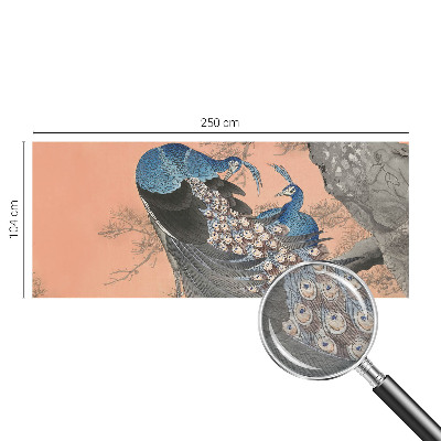 Tapeta fotograficzna Pawie elegancja