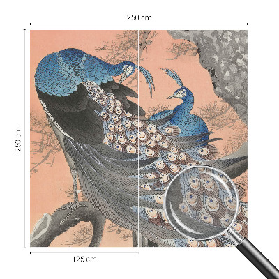 Tapeta fotograficzna Pawie elegancja