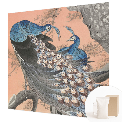 Tapeta fotograficzna Pawie elegancja