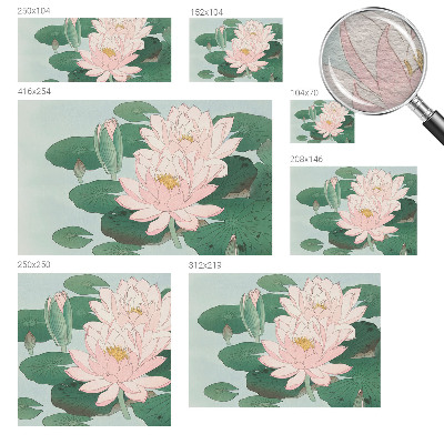 Fototapeta na ścianę Lotos wodny