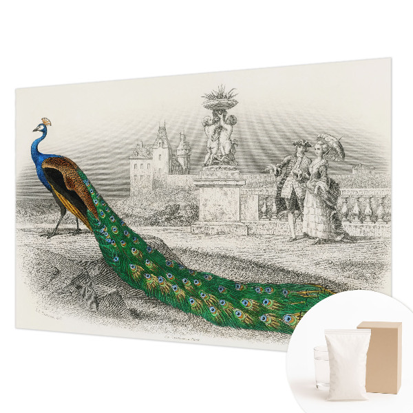 Tapeta fotograficzna fizelinowa Tapeta fotograficzna fizelinowa Barwne pióra