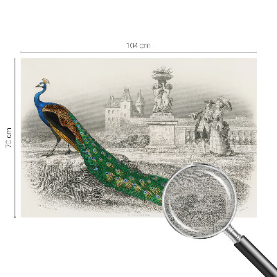 Tapeta fotograficzna fizelinowa Tapeta fotograficzna fizelinowa Barwne pióra