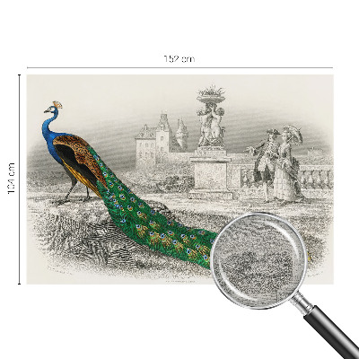 Tapeta fotograficzna fizelinowa Tapeta fotograficzna fizelinowa Barwne pióra