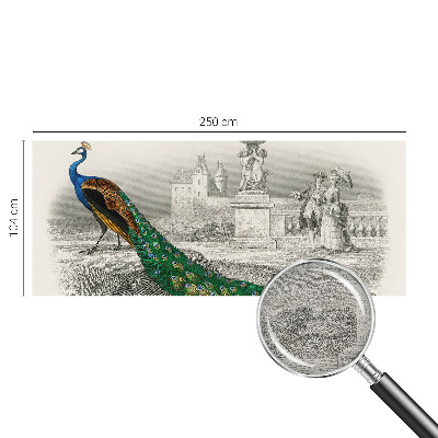 Tapeta fotograficzna fizelinowa Tapeta fotograficzna fizelinowa Barwne pióra