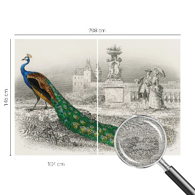 Tapeta fotograficzna fizelinowa Tapeta fotograficzna fizelinowa Barwne pióra