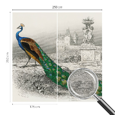 Tapeta fotograficzna fizelinowa z motywem barwnych piór