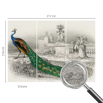 Tapeta fotograficzna fizelinowa Tapeta fotograficzna fizelinowa Barwne pióra