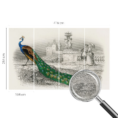 Tapeta fotograficzna fizelinowa Tapeta fotograficzna fizelinowa Barwne pióra