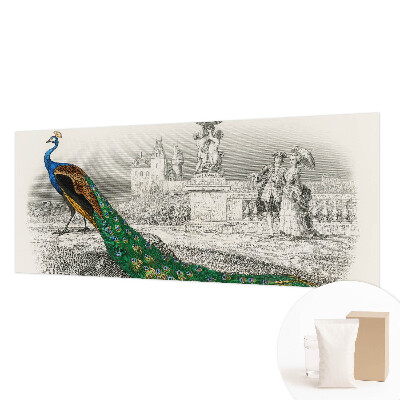 Tapeta fotograficzna fizelinowa Tapeta fotograficzna fizelinowa Barwne pióra