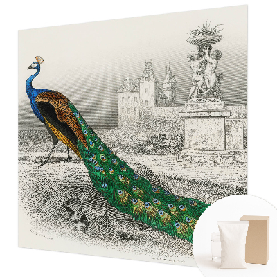 Tapeta fotograficzna fizelinowa Tapeta fotograficzna fizelinowa Barwne pióra