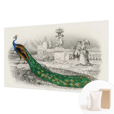 Tapeta fotograficzna fizelinowa Tapeta fotograficzna fizelinowa Barwne pióra