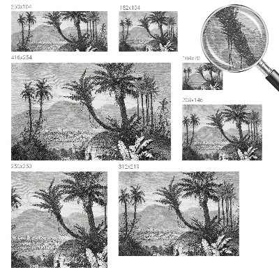 Fototapeta fizelinowa z nadrukiem Tropikalna oaza