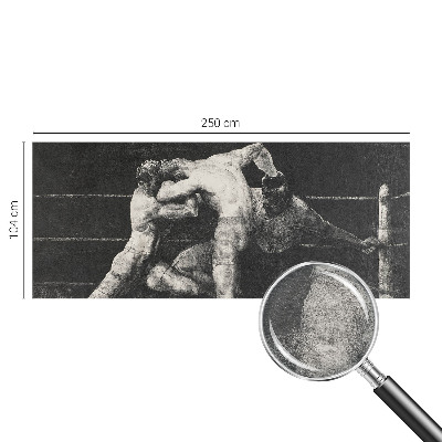 Fototapeta na ścianę Fototapeta na ścianę Pojedynek bokserów